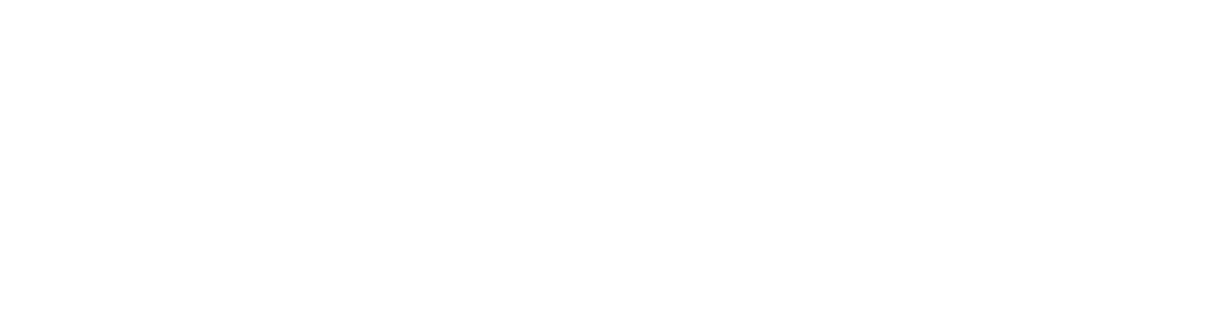 nb-logo-wide-white